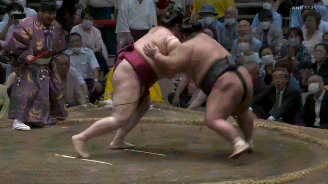 TZ85 giphyupload sumo 2023 aki basho takakeisho GIF