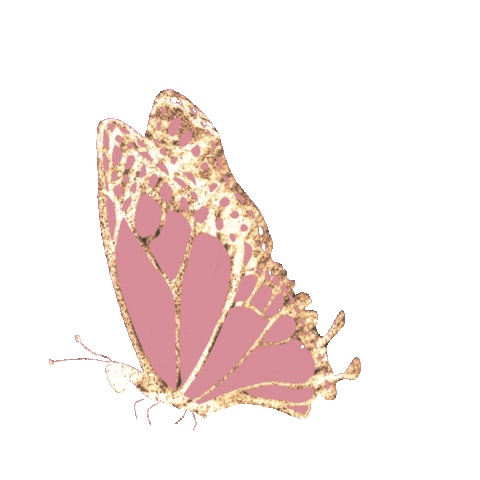Butterfly Sticker