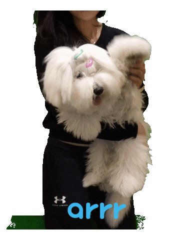 아르르 Sticker by arrr_official