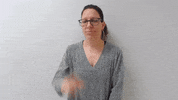 Asl Respect GIF