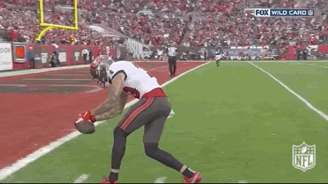 Nfl Playoffs Football GIF by Tampa Bay Buccaneers