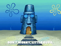 season 6 pet or pets GIF by SpongeBob SquarePants