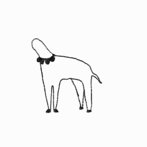 Dance Animation GIF by charlottekingstonlarson