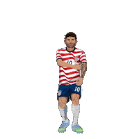 World Cup Football Sticker by Panini America