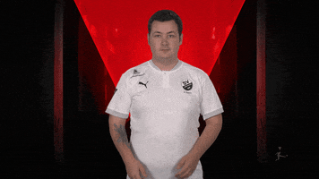 Sv Sandhausen No GIF by Bundesliga