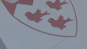 Mbm GIF by McGill University