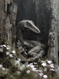 DinosaursWereHereFirst sleepy sleepy dino sleepy dinosaur sleeping dino GIF