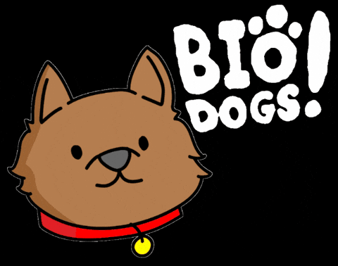 MarketingBioelements giphygifmaker bioelements biodogs bioperritos GIF