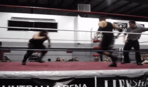 pro wrestling fighting GIF by Brimstone (The Grindhouse Radio, Hound Comics)