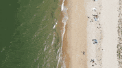 Asir GIF by Atlantic Sotheby's International Realty