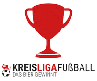 Soccer Winner Sticker by Kreisligafußball