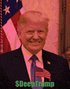 Usa Flag GIF by Deep Trump