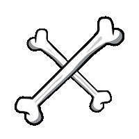 Noho Sticker by f45gangnam