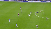 Soccer Futbol GIF by Brighton & Hove Albion Football Club