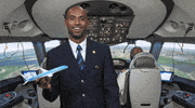 Go Royal Dutch Airlines GIF by KLM