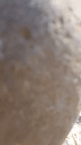 Simongip giphygifmaker GIF