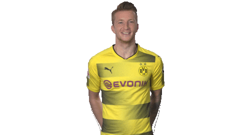 happy borussia dortmund Sticker by Bundesliga