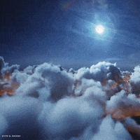 BrandyPresidente_MX super fiesta luna amigos GIF