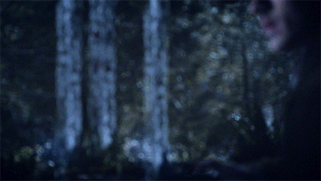 nbc GIF by Timeless