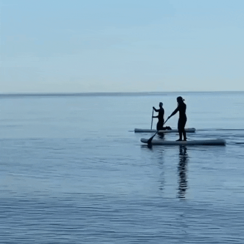 Watery giphyupload water paddleboard paddleboarding GIF