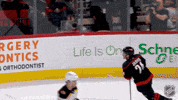 Happy Carolina Hurricanes GIF by NHL