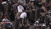 cle GIF by MLB