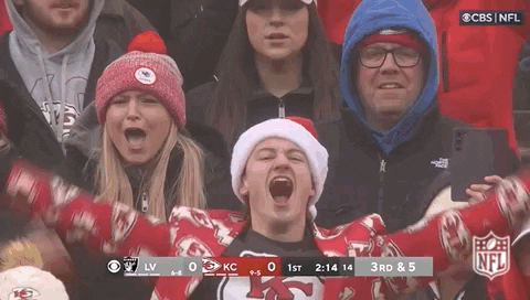 Kansas City Chiefs Football GIF by NFL