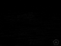die black and white GIF by Okkult Motion Pictures
