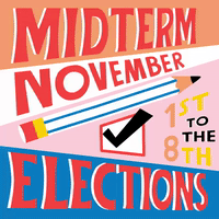 Midterm Elections November 