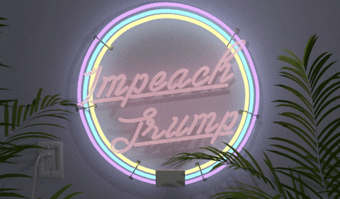 impeach trump GIF by Ariel Hart
