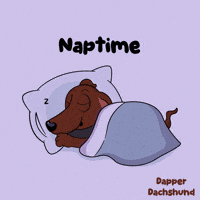 Fun Sleeping GIF by VeeFriends