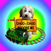 Pick Me Choo Choo GIF