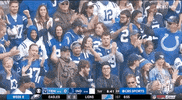 Indianapolis Colts Football GIF by NFL