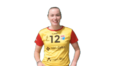 Sv Dynamo Sticker by Draisma Dynamo