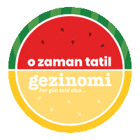 Travel Tour Sticker by gezinomi