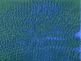 Once In A Lifetime GIF by Talking Heads
