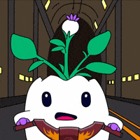 Coming Lets Go GIF by Magic Eden