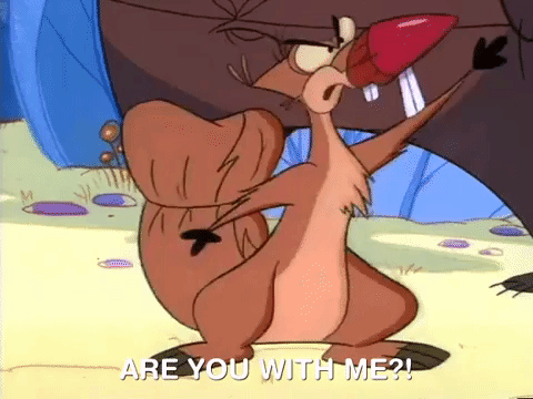nickrewind giphydvr nicksplat angry beavers giphyab005 GIF