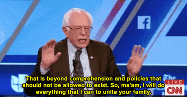 bernie sanders news GIF
