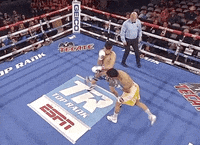 toprank fight fighting espn fighters GIF