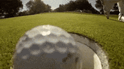 golf GIF