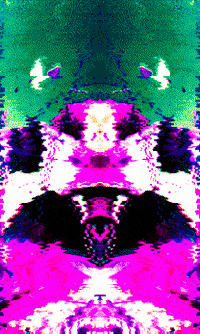 GIF by Leo Pyrata