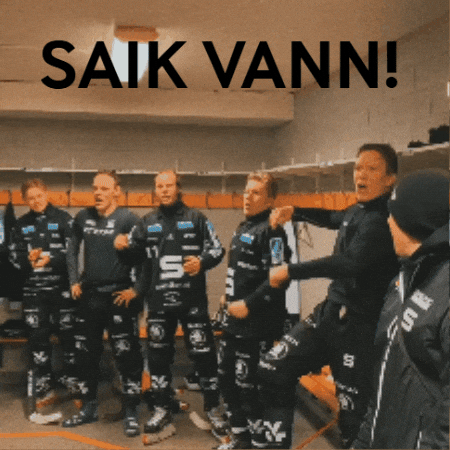 Sport Victory GIF by SAIK Bandy