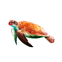 dance party Sticker by zerogravitydxb