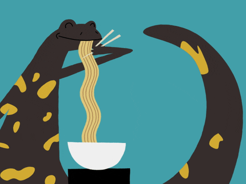 hungry lincoln park zoo GIF by Ethan Barnowsky