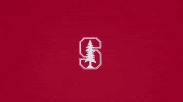 Excited Baseball GIF by Stanford Athletics