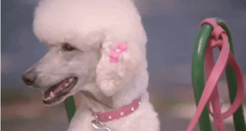 GIF by Kate