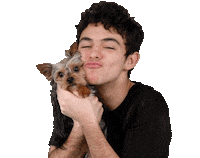 Joaco Joaquinbondoni Sticker by Las Estrellas