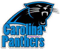 carolina panthers football STICKER