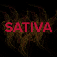 loveihsinc cbd vape hemp sativa GIF